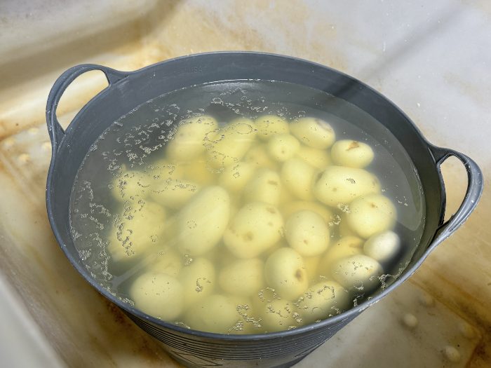 Patate in ammollo per quanto