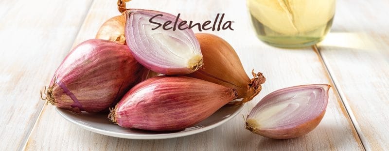 Scalogno: cos’è, proprietà, valori nutrizionali e usi in cucina - Il Blog di Selenella