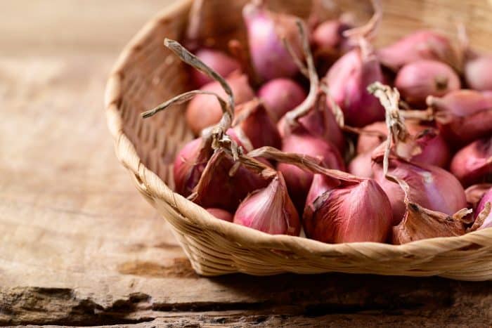 Scalogno proprietà e usi in cucina